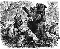 Bear Scrapes of the Early Settlers