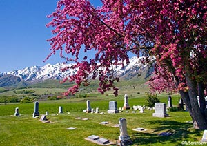 Mendon Utah Cemetery in the spring of 2006.