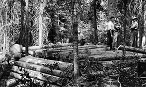 Logging for Railroad Ties