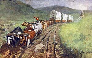 Early Freighting with Bull-Trains to Montana