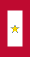 Gold Star