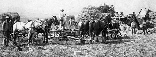 Sweep Threshing in Mendon, Utah